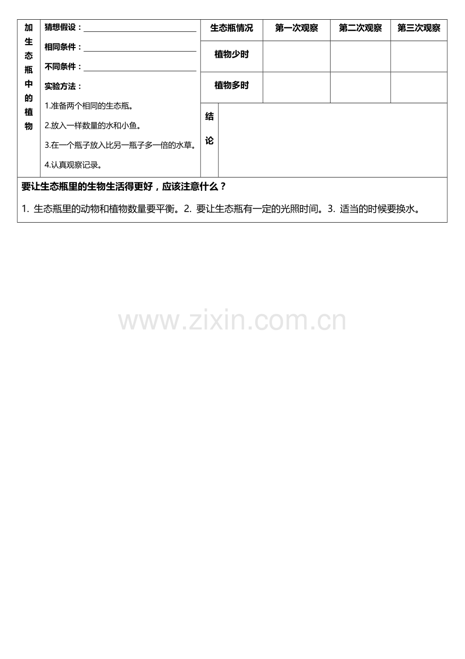 生态瓶记录单.docx_第2页