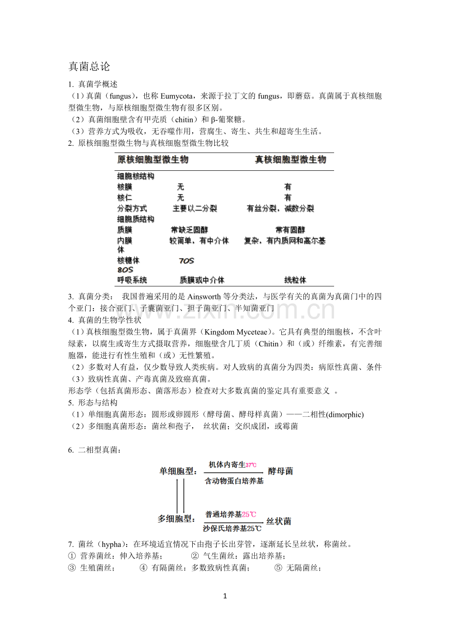 真菌总论.doc_第1页