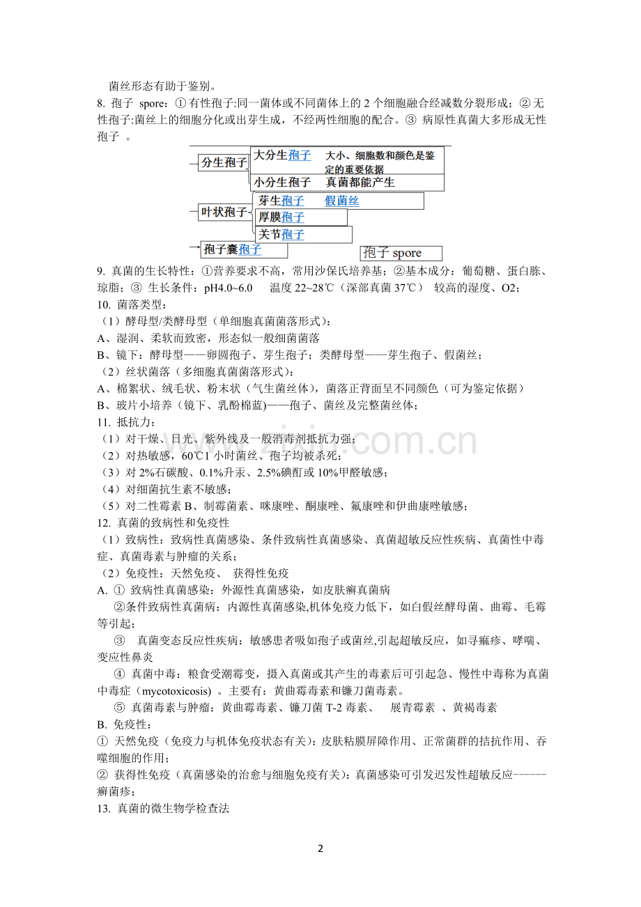 真菌总论.doc_第2页