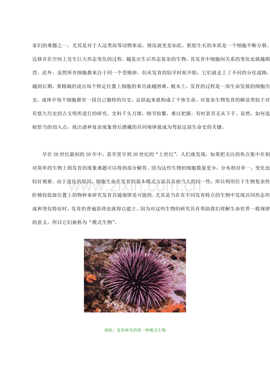 发育·线虫·凋亡(2).doc_第2页