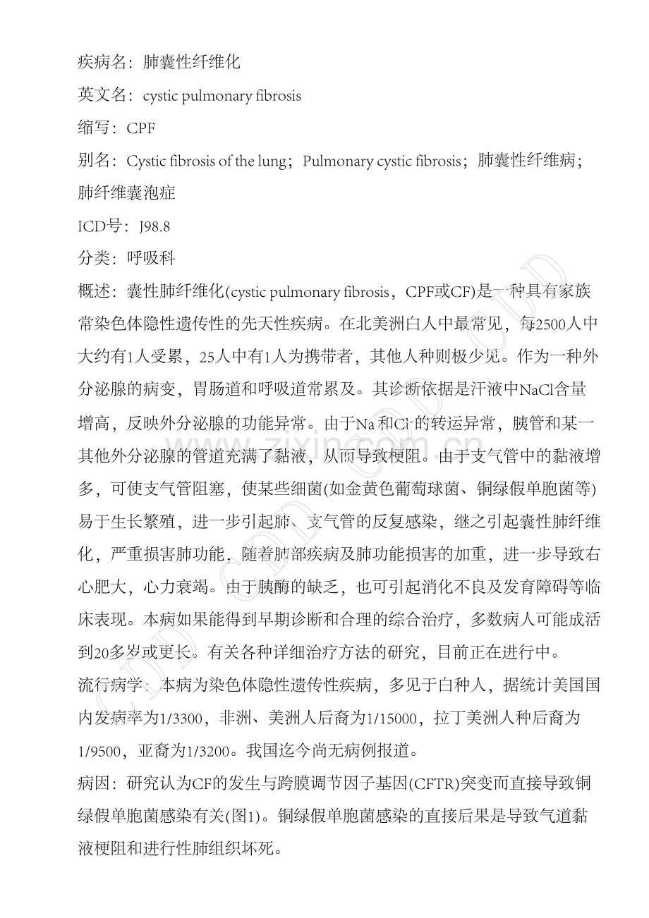 肺囊性纤维化.pdf_第1页