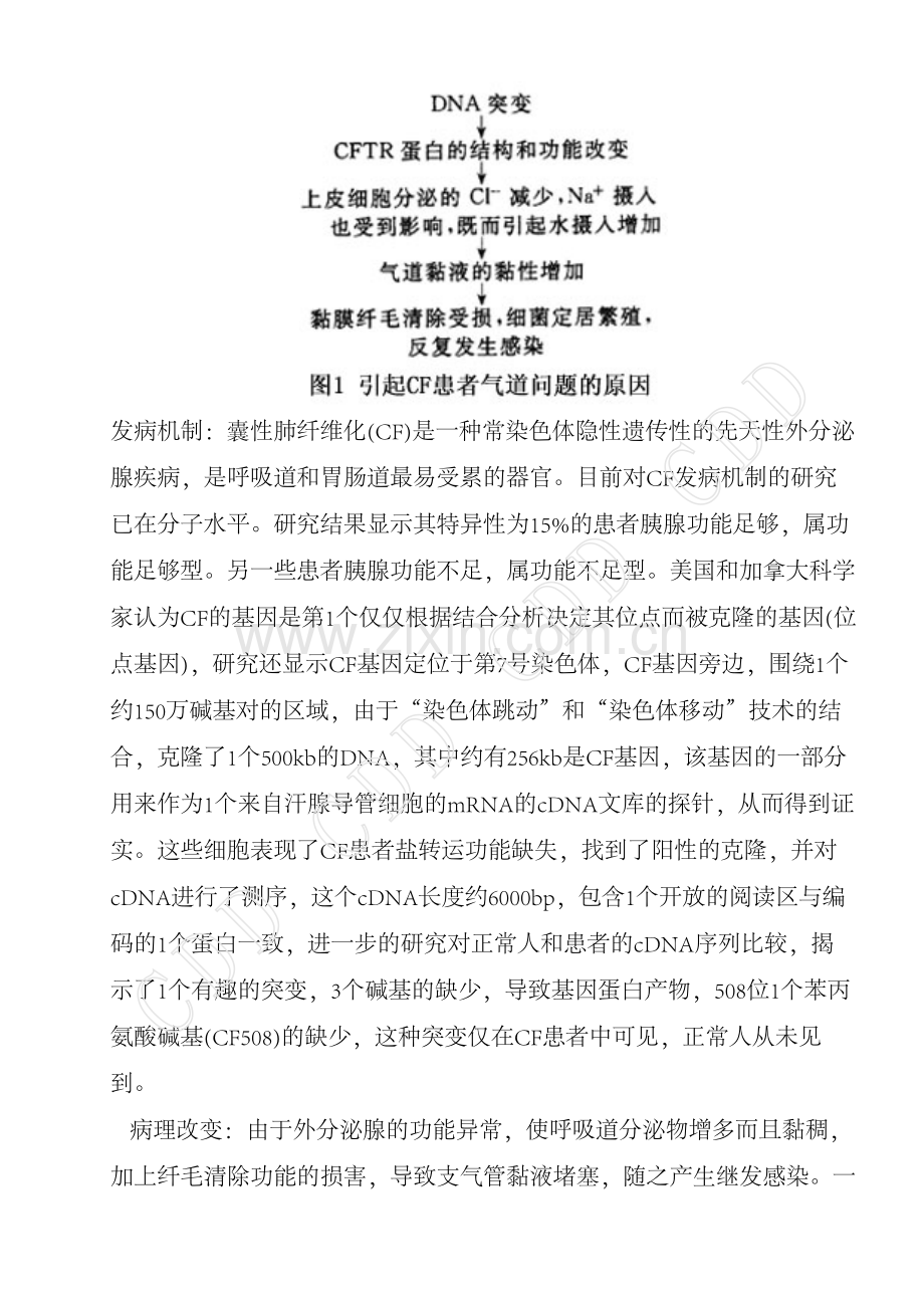 肺囊性纤维化.pdf_第2页
