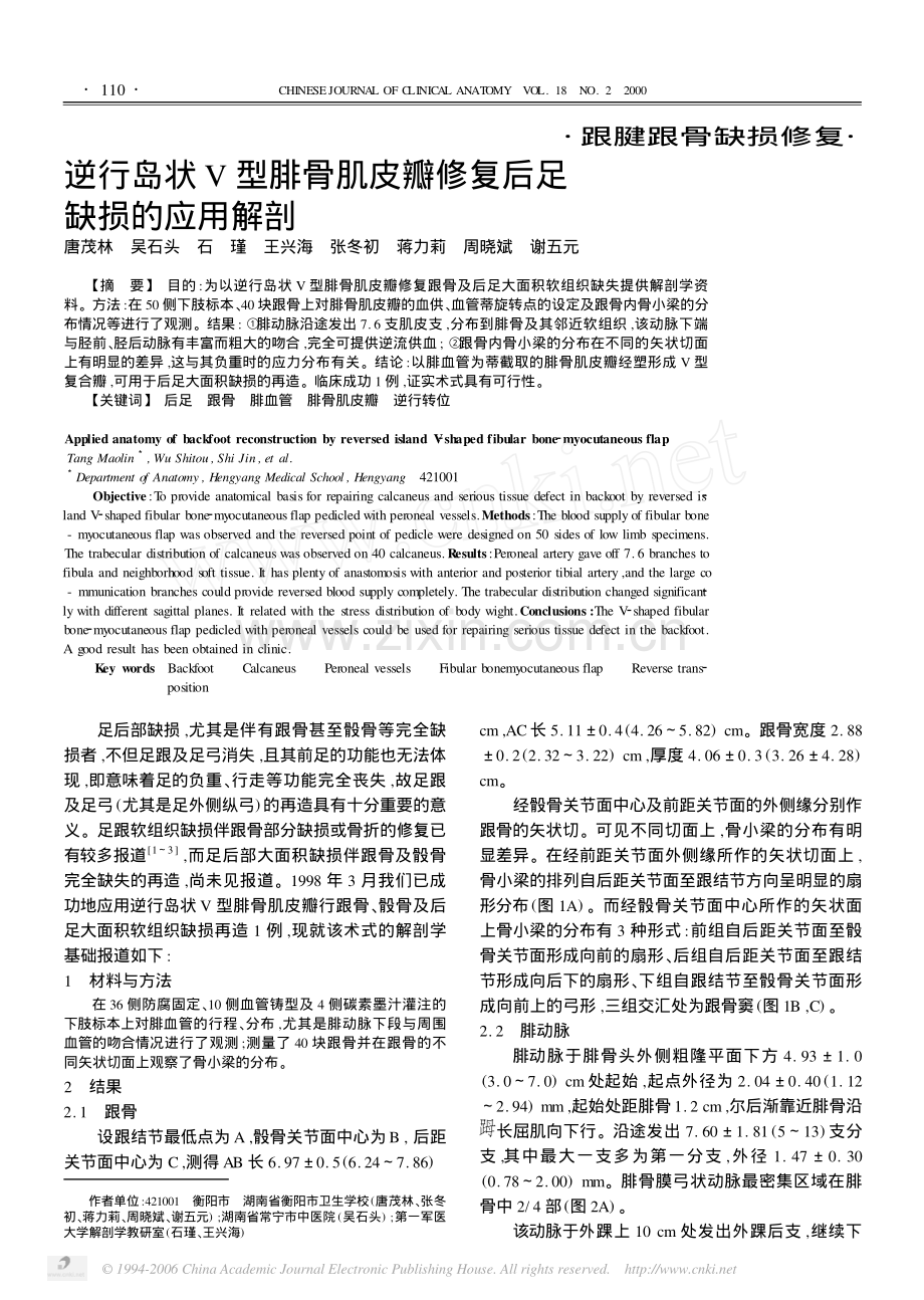 逆行岛状V 型腓骨肌皮瓣修复后足缺损的应用解剖.pdf_第1页