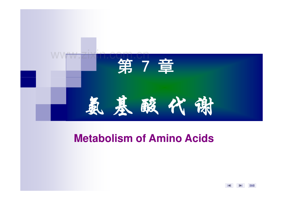 氨基酸代谢.pdf_第1页