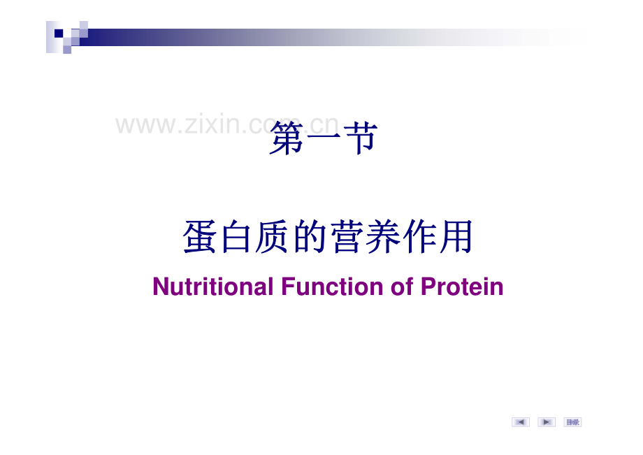 氨基酸代谢.pdf_第2页