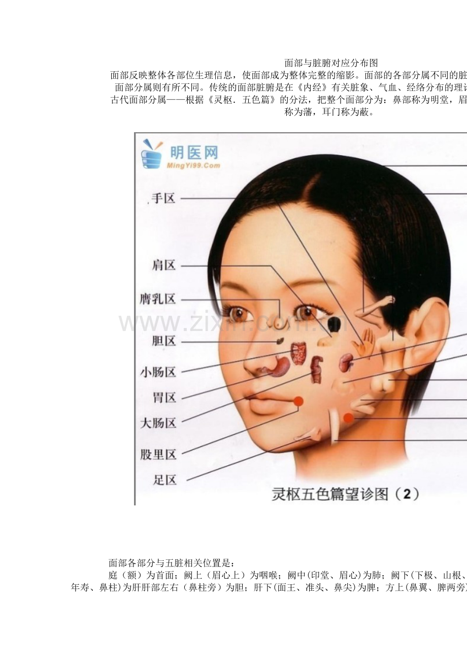 面部望诊图集.doc_第2页