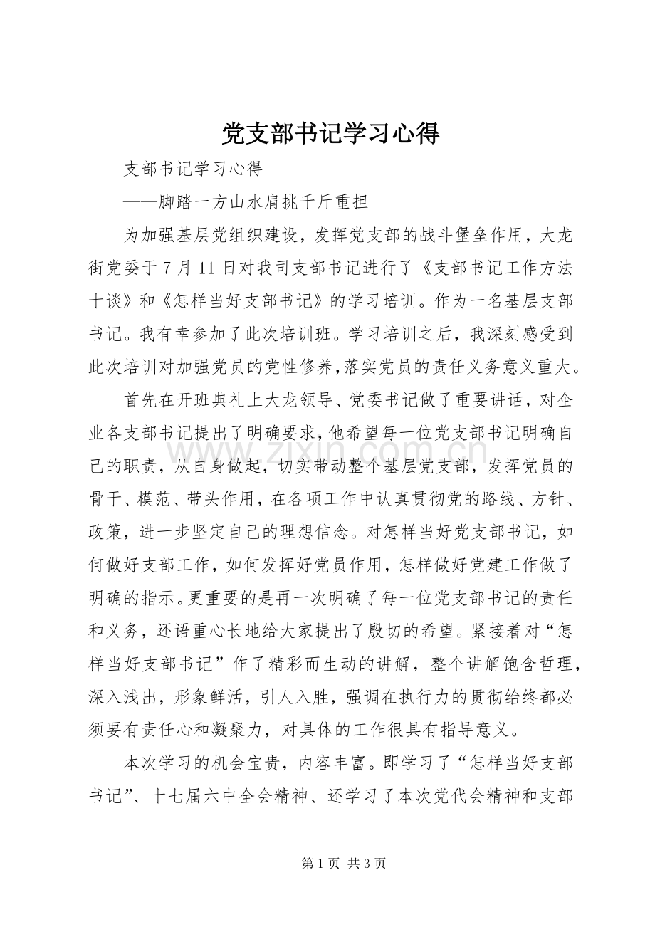 党支部书记学习体会.docx_第1页
