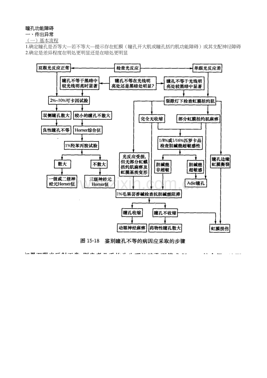 瞳孔传出异常.doc_第1页