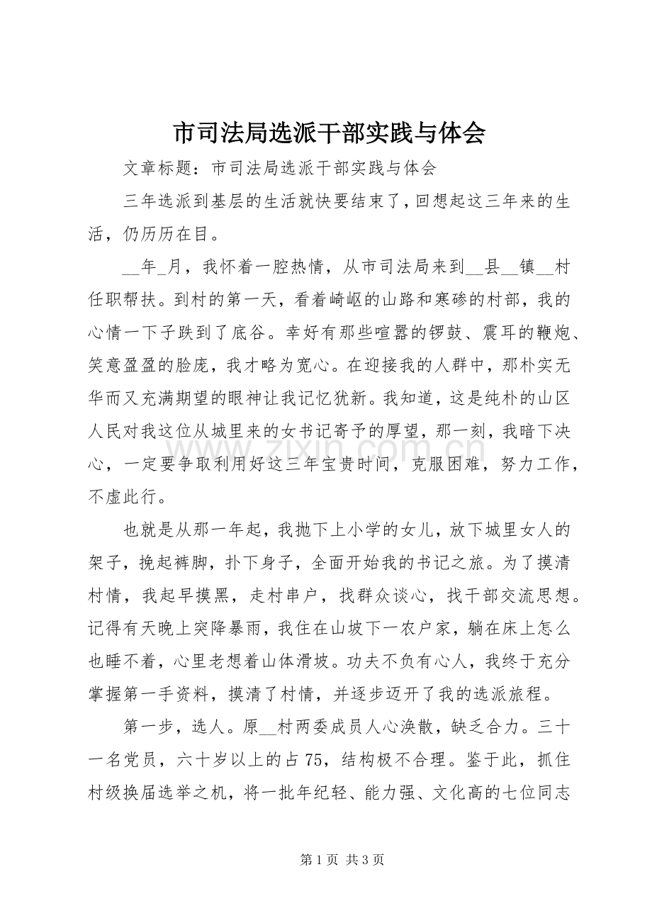 市司法局选派干部实践与体会.docx_第1页