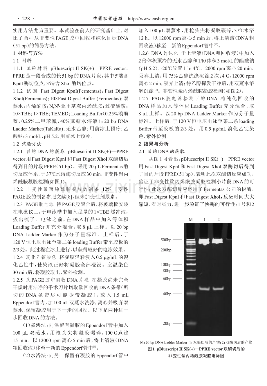 从非变性聚丙烯酰胺凝胶中回收DNA小片段的两种方法比较.pdf_第2页