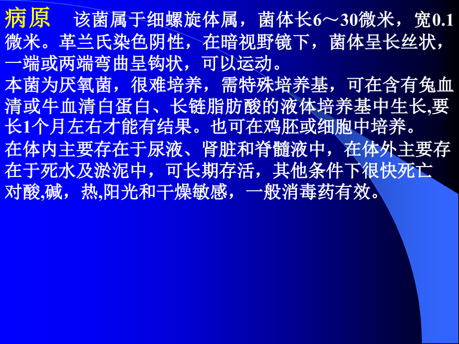 猪的钩端螺旋体病.pps_第2页