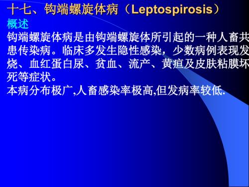 猪的钩端螺旋体病.pps