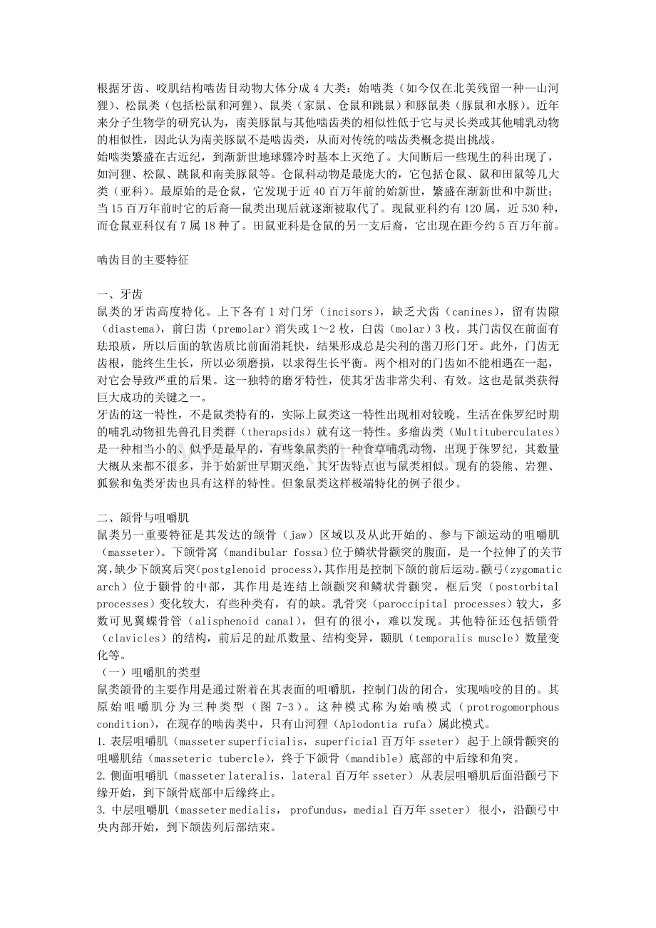 现代啮齿目动物的分类.doc_第2页