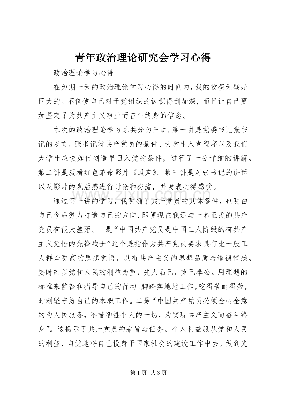 青年政治理论研究会学习体会.docx_第1页
