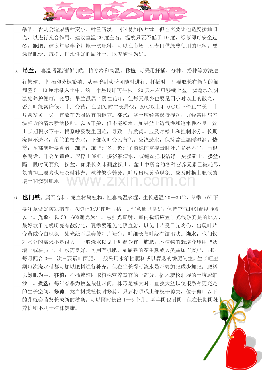 植物养殖.docx_第2页