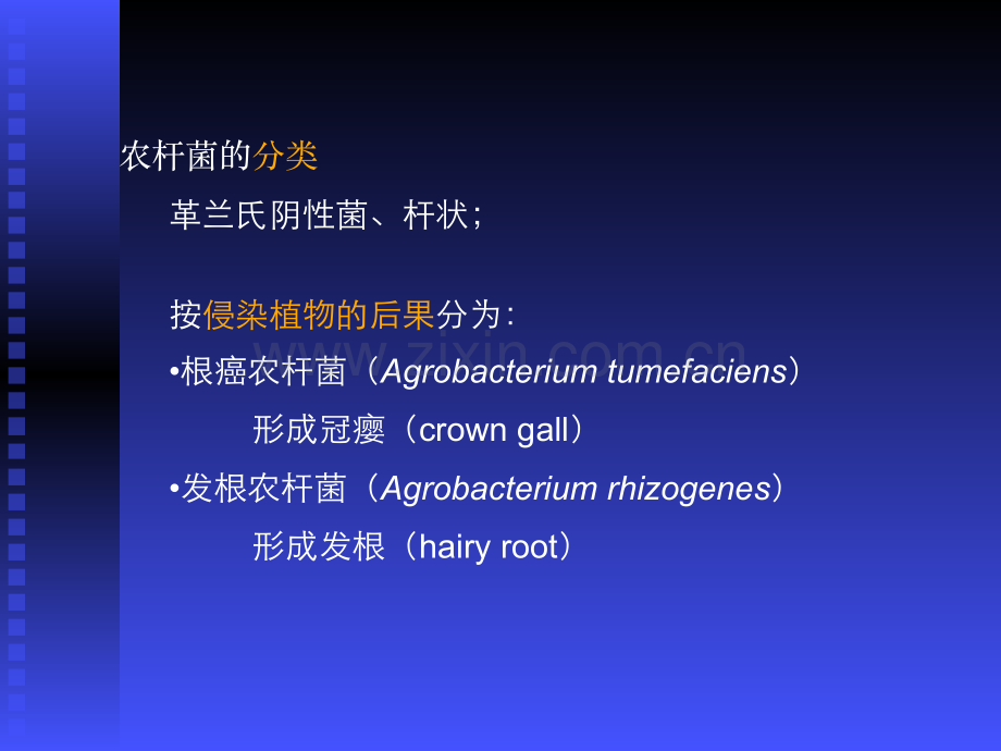 农杆菌介导遗传转化原理.pdf_第2页