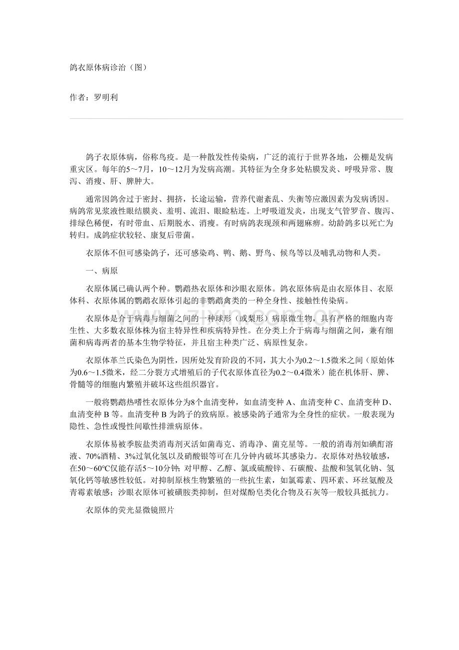 鸽衣原体病诊治.doc_第1页