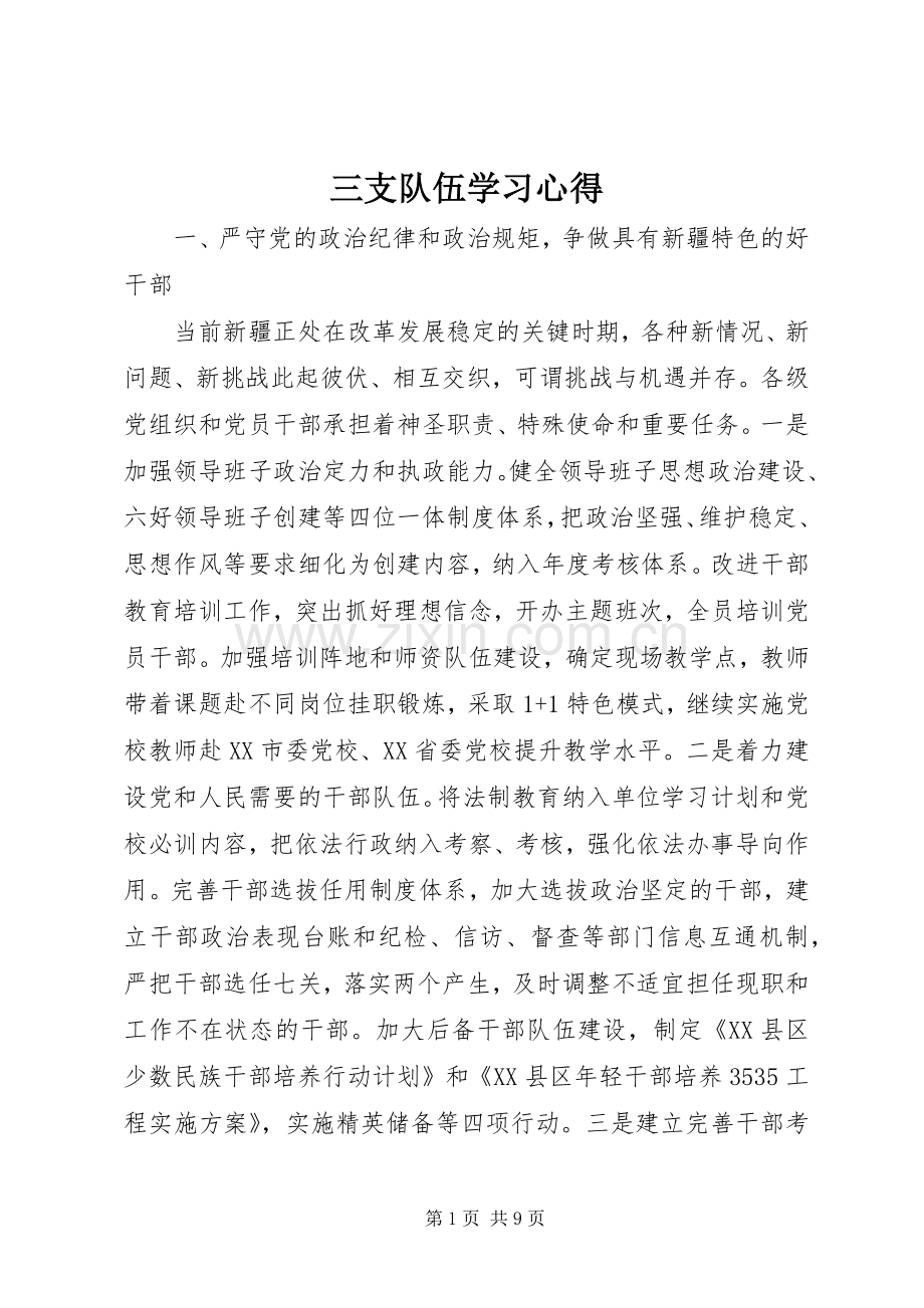 三支队伍学习体会.docx_第1页
