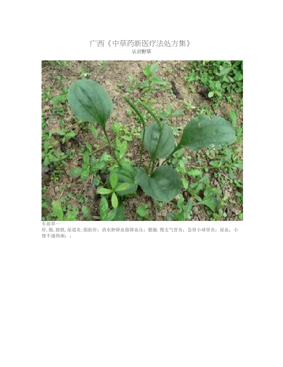 中草药新医疗法处方集.doc_第1页