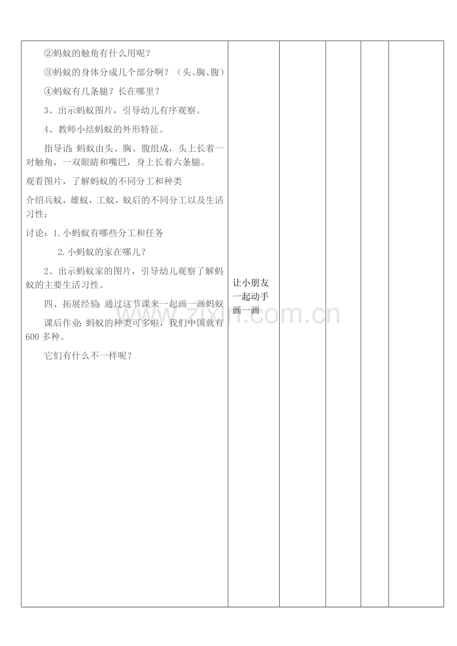 认识蚂蚁教案.doc_第2页
