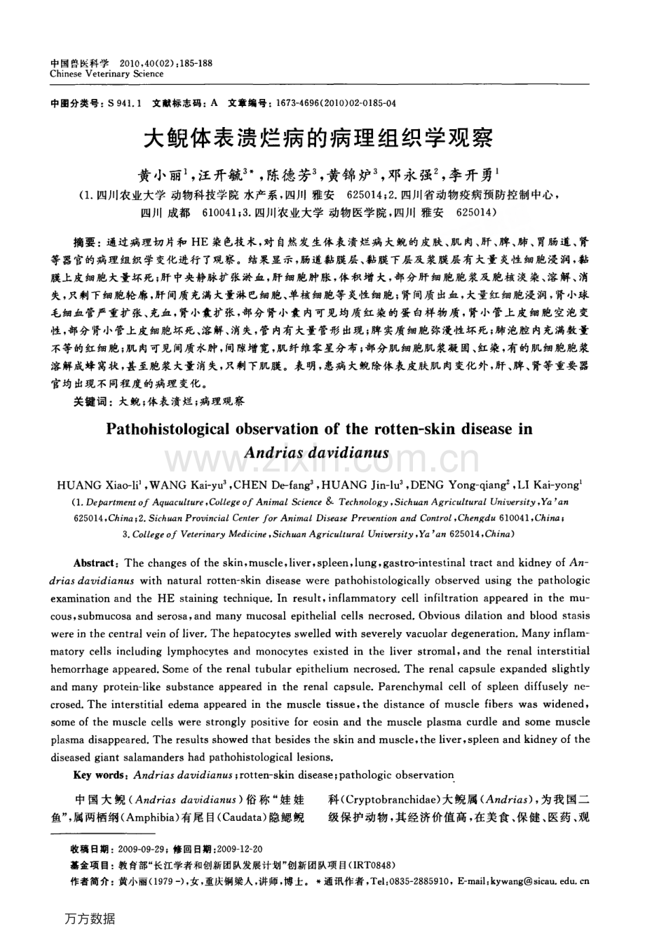 大鲵体表溃烂病的病理组织学观察.pdf_第1页