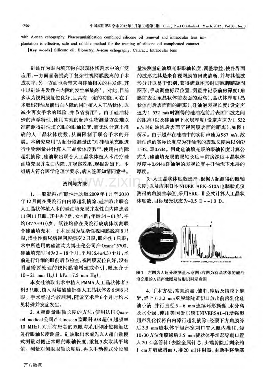 A超分段测量法在硅油填充眼并发白内障三联手术中应用.pdf_第2页