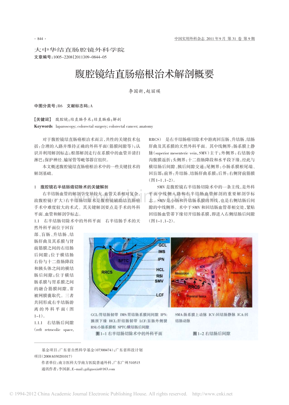 腹腔镜结直肠癌根治术解剖概要.pdf_第1页