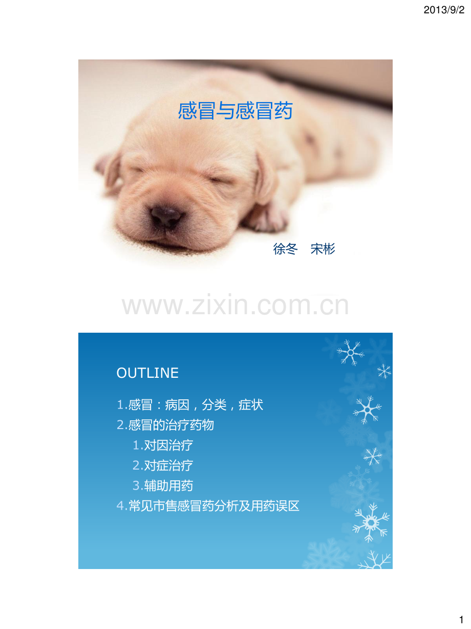 感冒与感冒药x.pdf_第1页