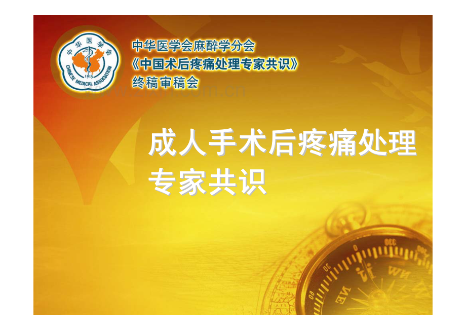 术后疼痛指南.pdf_第1页