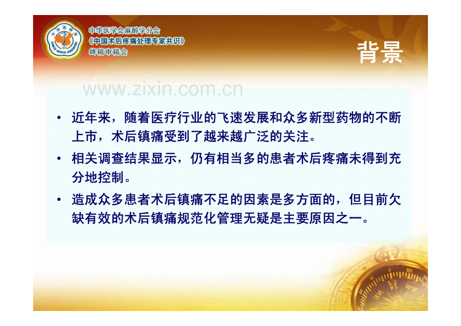 术后疼痛指南.pdf_第2页