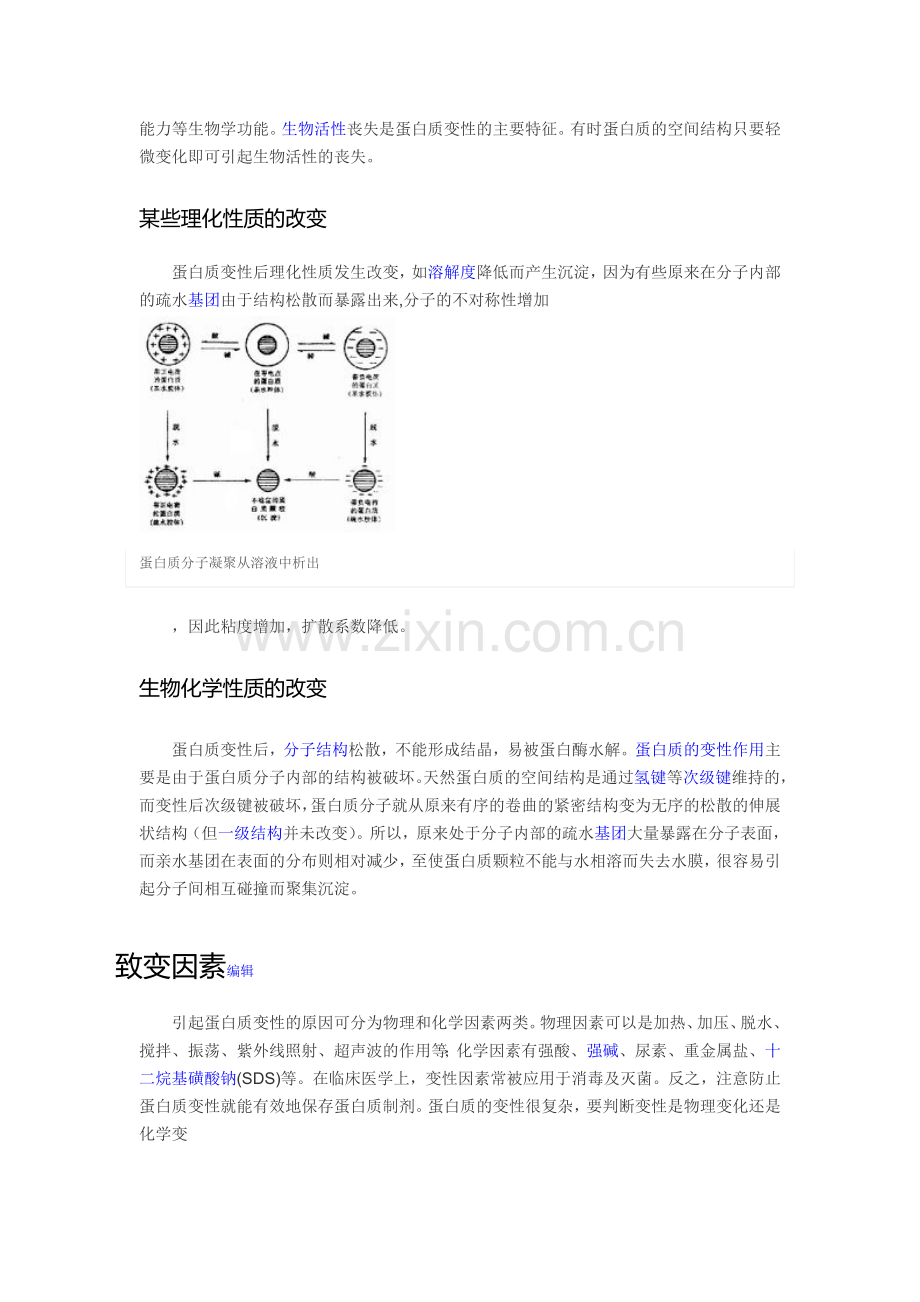 蛋白质变性理论.doc_第2页