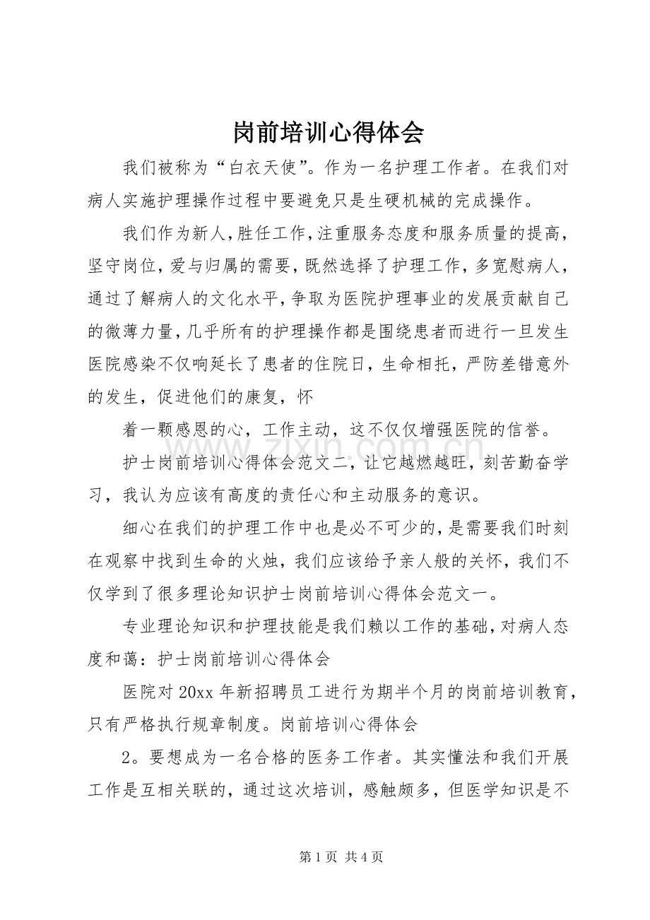 岗前培训体会心得 (33).docx_第1页