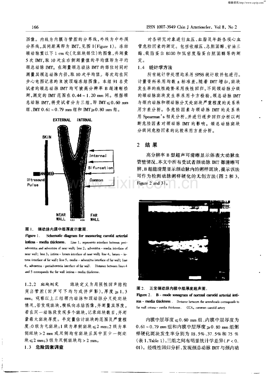 超声测量颈动脉内膜中层厚度与颈动脉斑块的关系.pdf_第2页