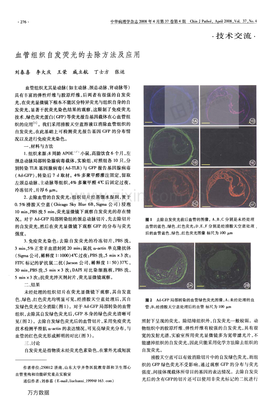 血管组织自发荧光的去除方法及应用.pdf_第1页