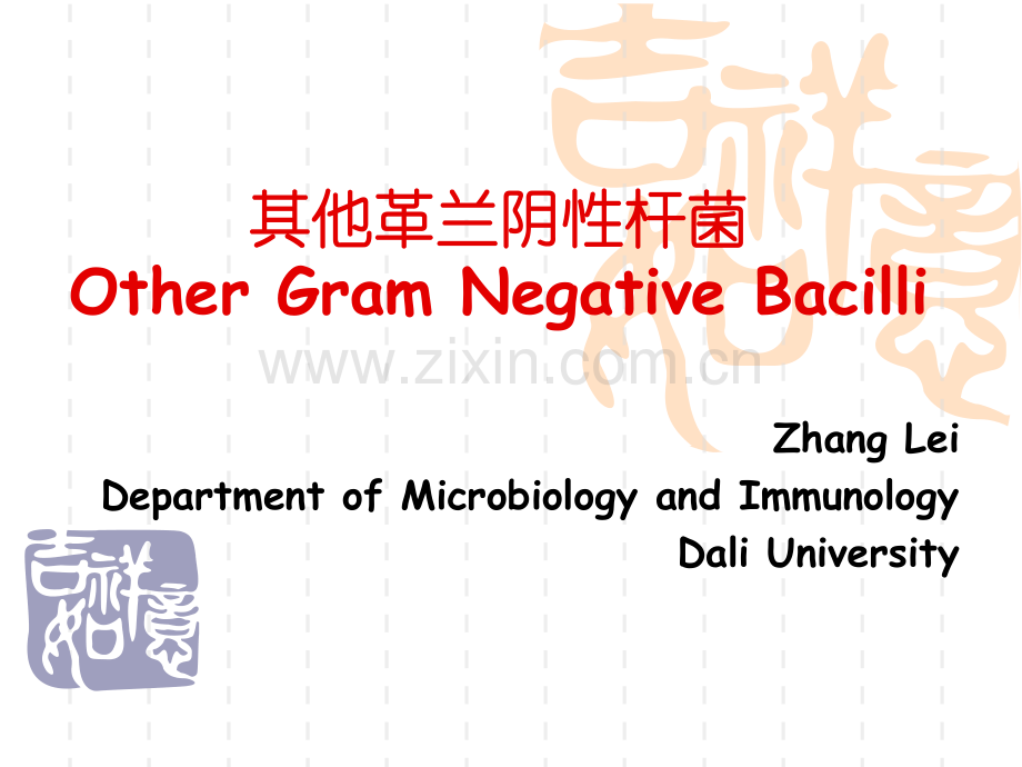 Chapter10 Other Gram Negative Bacilli_1.pdf_第1页