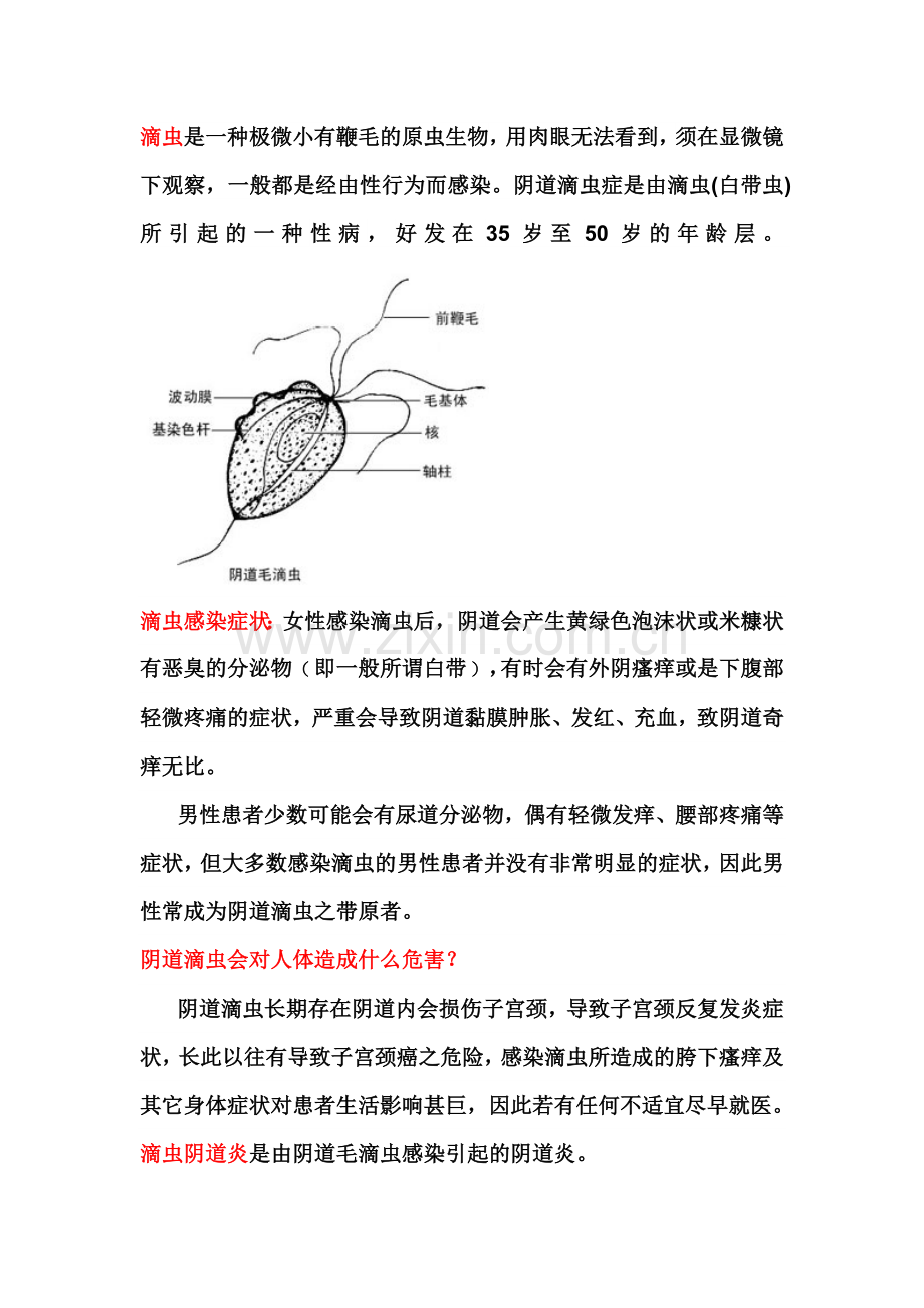 滴虫是一种极微小有鞭毛的原虫生物.doc_第1页