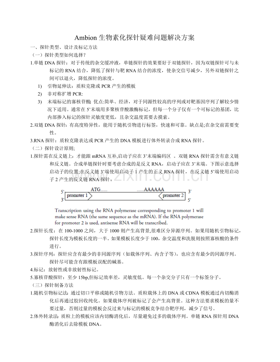 Northern Blot注意事项.docx_第2页