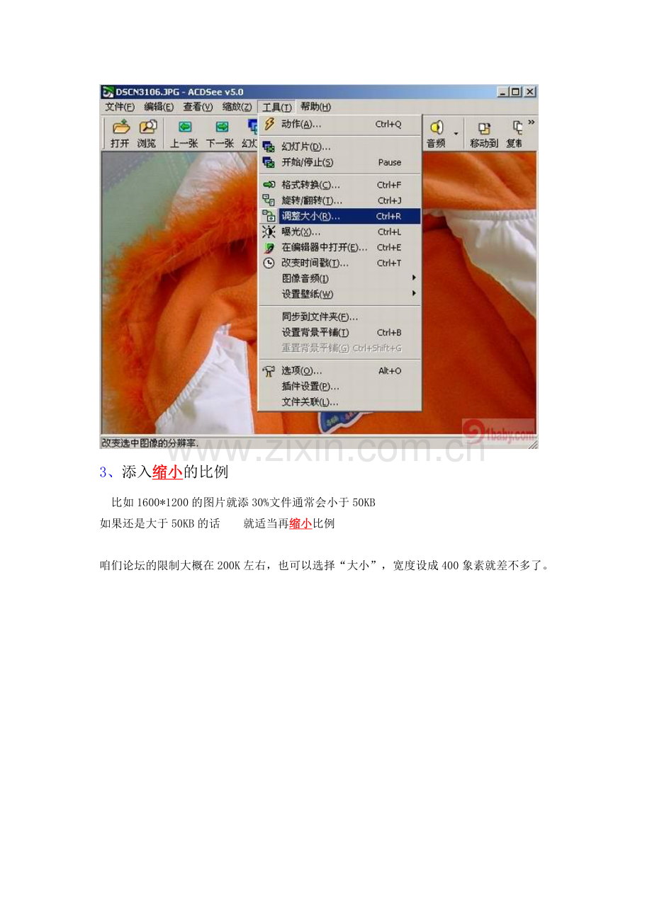 请看用ACDSEE如何缩小照片大小.doc_第2页