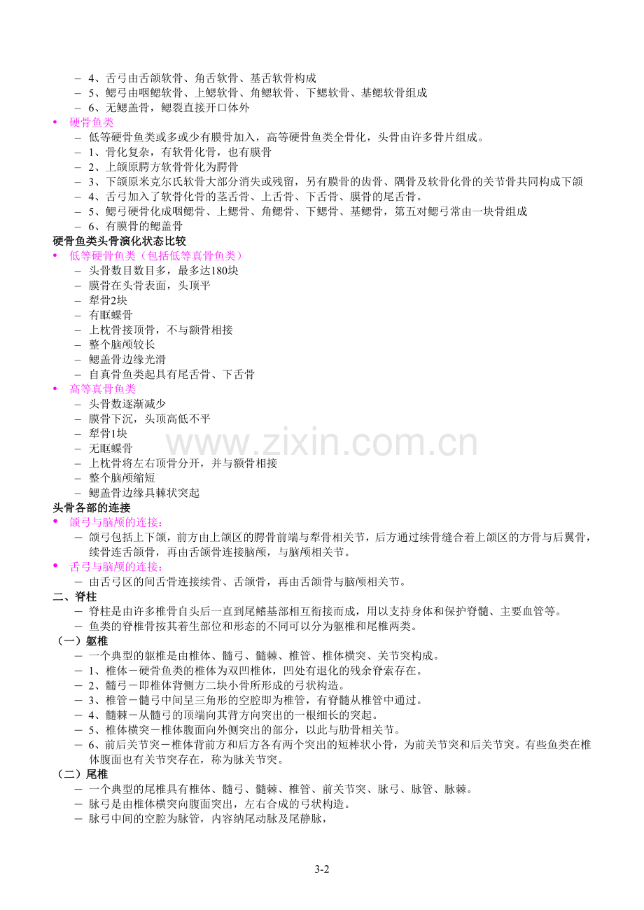 《鱼类的骨骼系统》.doc_第2页