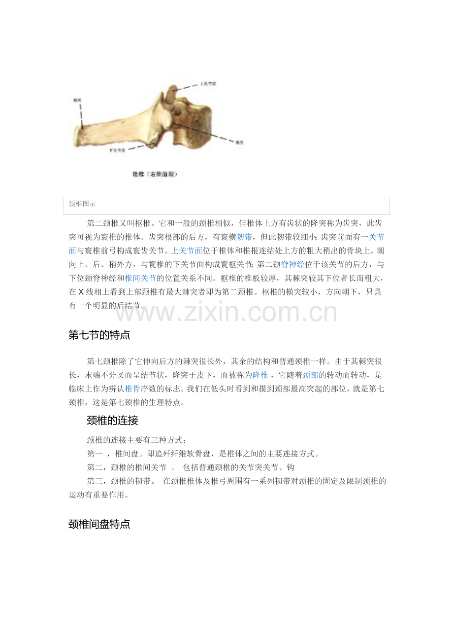 颈椎病的生理和解剖.doc_第2页