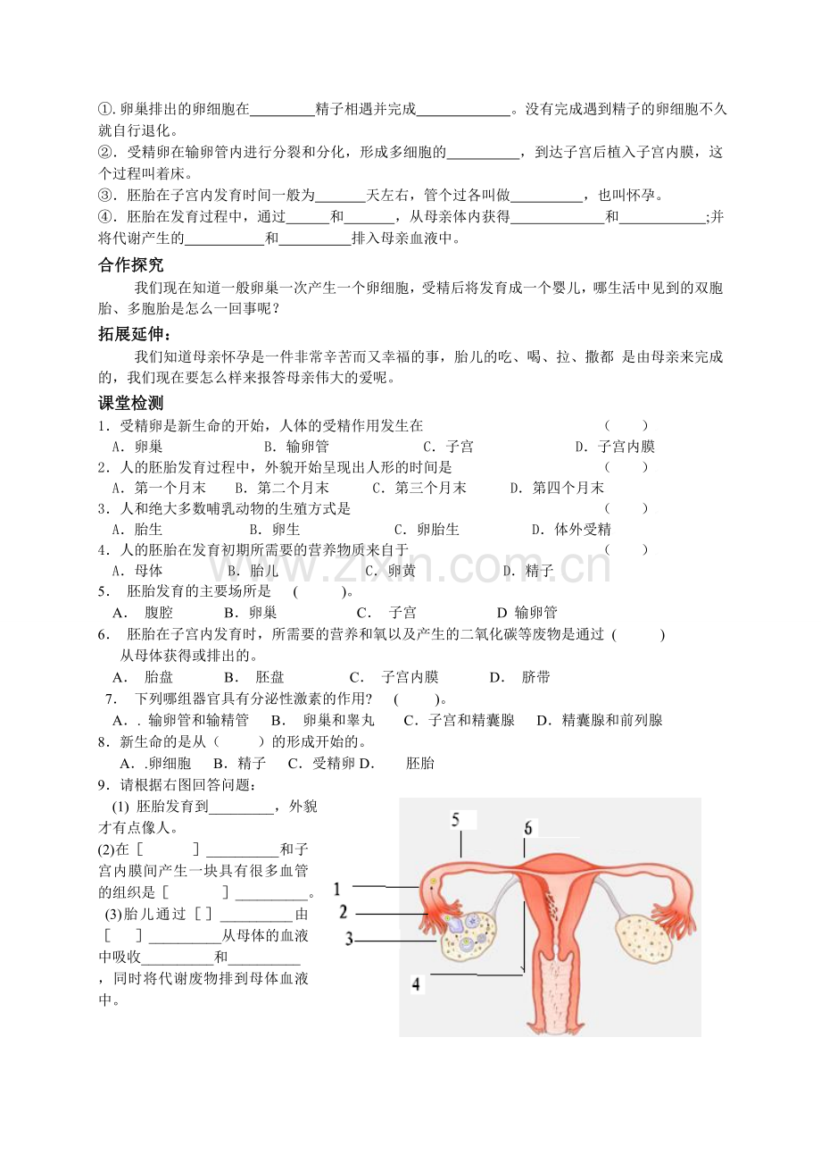 人的生育和发育MicrosoftWord文档.doc_第2页