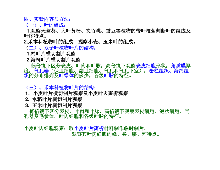 实验四叶.pdf_第2页