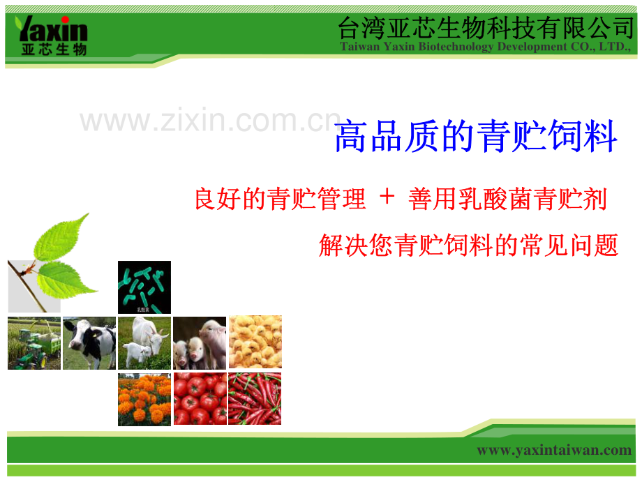 高品质的青贮饲料-0808.pdf_第1页