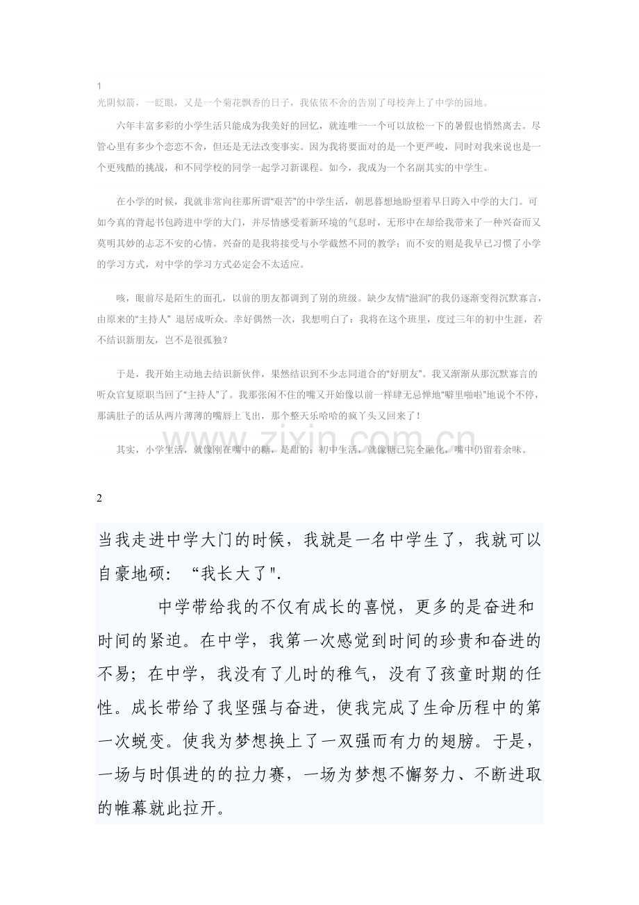 当我走进初中大门的时候.doc_第1页