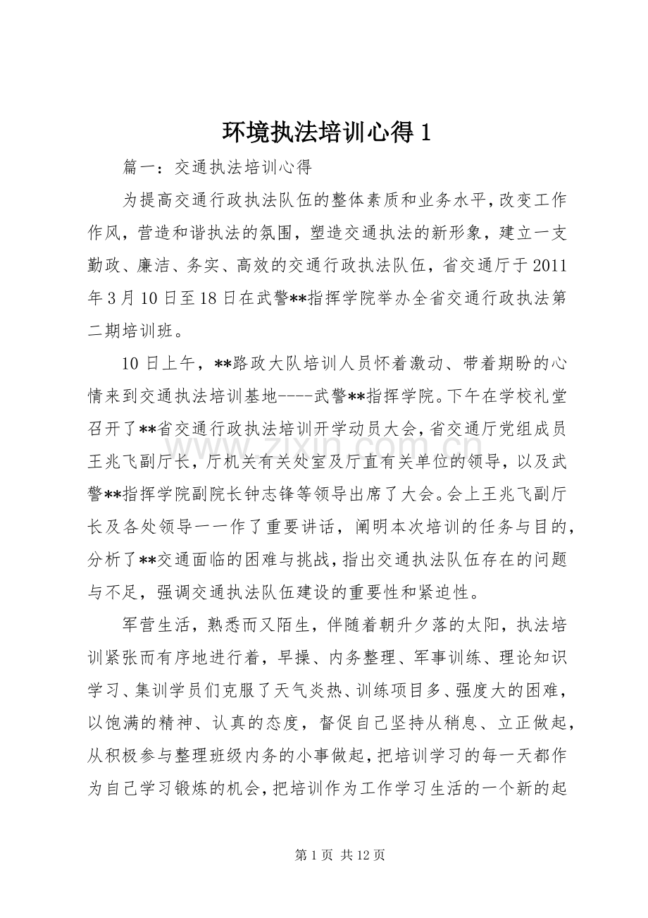 环境执法培训心得3.docx_第1页