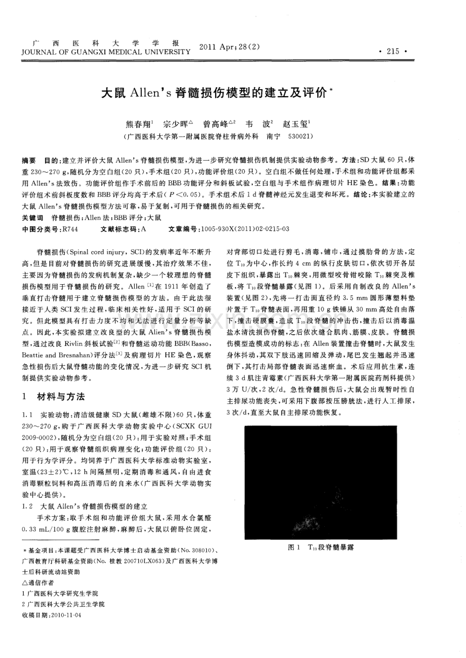大鼠Allen’s脊髓损伤模型的建立及评价.pdf_第1页