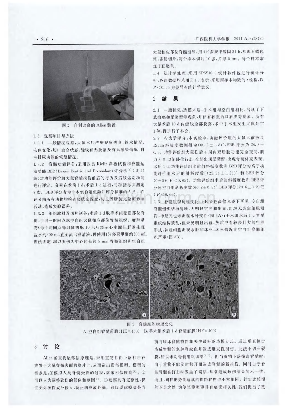 大鼠Allen’s脊髓损伤模型的建立及评价.pdf_第2页