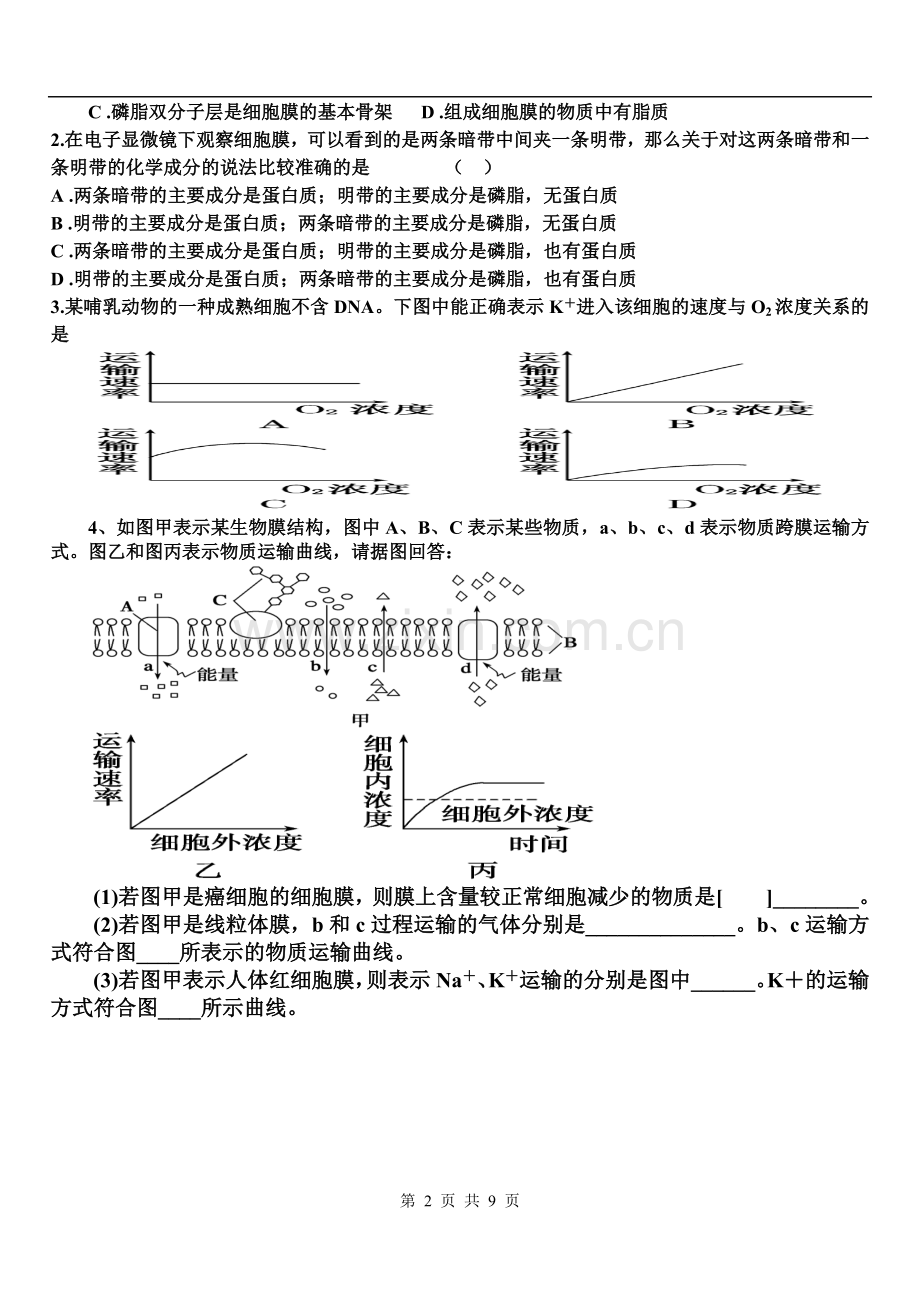 流动镶嵌模型及运输方式.doc_第2页