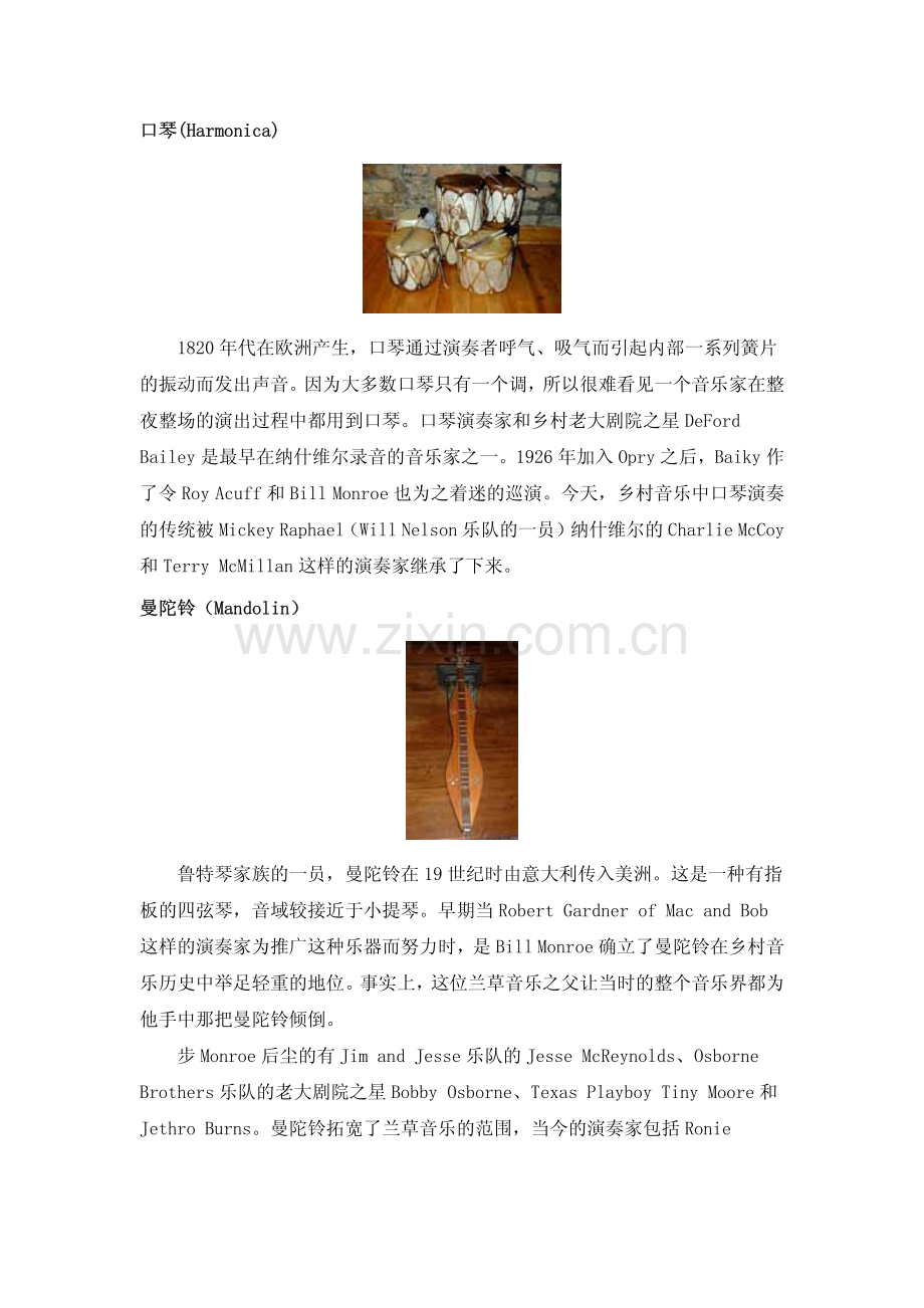 乡村音乐乐器一览.pdf_第2页