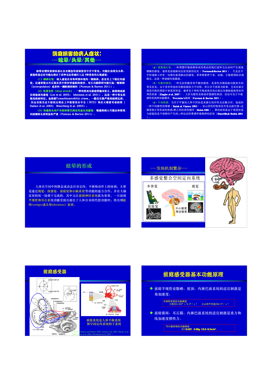 眩晕院内讲课.pdf_第2页